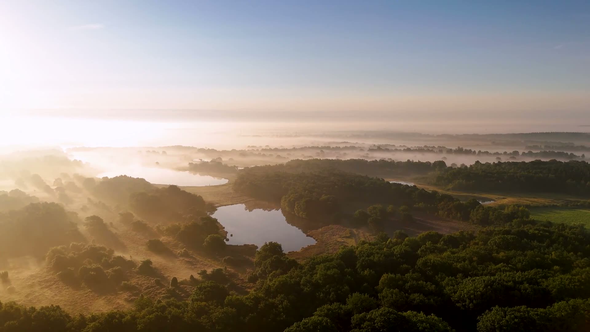 Forêt dans la brume filmée au lever du jour